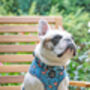 Rosie Rose Cornflower Blue Floral Dog Harness, thumbnail 5 of 10