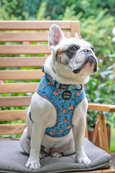 Rosie Rose Cornflower Blue Floral Dog Harness, 5 of 10