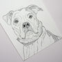 Personalised Pet Portrait Drawings, thumbnail 10 of 11