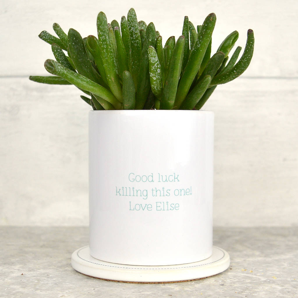 Succulent Plant Pot 'Succa For A Succulent' By Pink and Turquoise ...