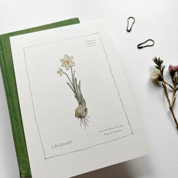 Spring Bulb Botanical Postcard Set, 4 of 10