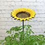 Cast Iron Sunflower Bird Feeder Garden Ornament, thumbnail 5 of 6