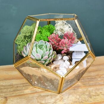 Gold Geometric Terrarium Kit With Succulent Plant Lover Gift, 11 of 12