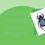 Purple Beetle Illustrated Blank Greeting Card, thumbnail 7 of 10