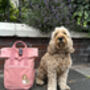 Personalised You And Your Dog Backpack, thumbnail 3 of 12