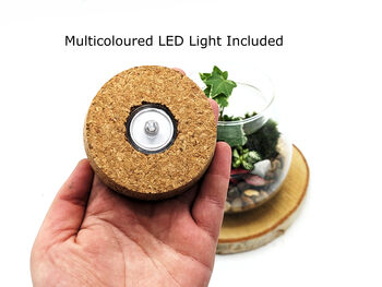 Diy Multicoloured LED Light Up Mini Dome Terrarium Kit, 8 of 11