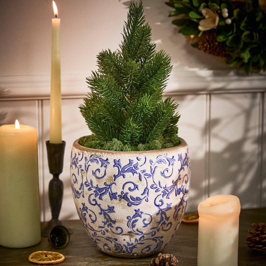 Solene Blue Botanical Planter, 1 of 6