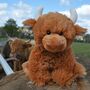 Highland Cow Brown Plush Soft Toy, Gift, thumbnail 1 of 9
