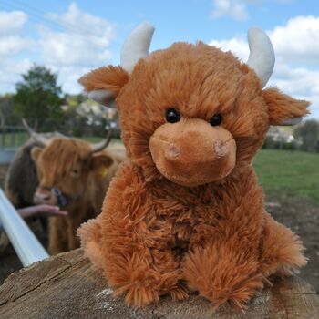 Scottish Highland Cow Brown Soft Toy, Gift Wrapped, 3 of 8