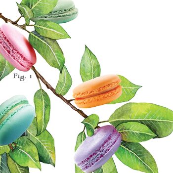 Macaron Wall Art, Botanical Print With A Twist, 5 of 11