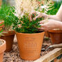 Anniversary Personalised Flower Pot, thumbnail 1 of 4