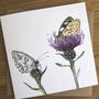 Butterflies And Bees Botanical Art Card Gift Pack, thumbnail 3 of 5