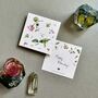 Pampering Wellness And Incense Gift Box, thumbnail 10 of 11