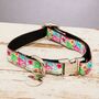 Clifton Adjustable Multi Rainbow Floral Dog Collar, thumbnail 3 of 4