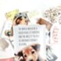 Dog Lovers Tea Gift Set | Dog Mum Gift | Pet Gifts, thumbnail 12 of 12