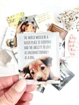 Dog Lovers Tea Gift Set | Dog Mum Gift | Pet Gifts, 12 of 12