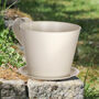 Gardening Tea Cup Planter Gift, thumbnail 5 of 7