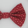 Red Star Dog Bow Tie, thumbnail 3 of 4