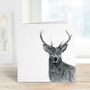 Stag Wildlife Greeting Card, thumbnail 2 of 7