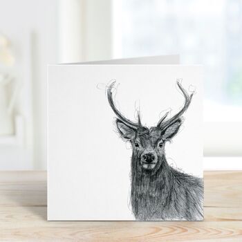 Stag Wildlife Greeting Card, 2 of 7