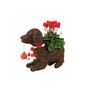Dog Planter With Christmas Cyclamen And Bauble, thumbnail 2 of 3