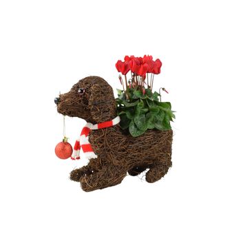 Dog Planter With Christmas Cyclamen And Bauble, 2 of 3
