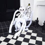 Halloween Skeleton Paper Hanging Decorations Two Pack, thumbnail 4 of 6