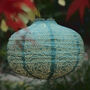 Teal Solar Pumpkin Lantern, thumbnail 1 of 7