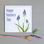 ' Grape Hyacinth ' Mothers Day Card, thumbnail 1 of 2