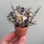 Dried Flower Mini Arrangement Pot, thumbnail 3 of 3
