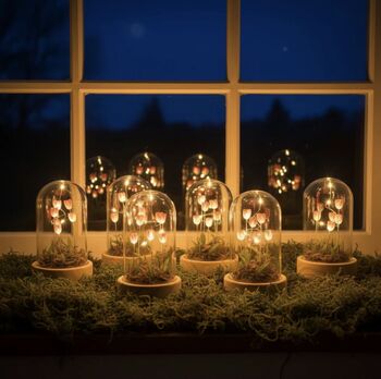 Meadow LED Dome Large Or Medium, 4 of 5