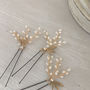 Ivory Pearl And Crystal Wedding Pins Set Of Three, thumbnail 5 of 5