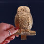G Decor Golden Owl Polished Brass Door Knocker, thumbnail 3 of 4