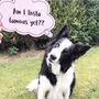 Pet Thought Bubbles In Pastel, thumbnail 4 of 9
