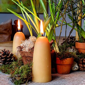 British Beeswax Candles, Short Stubby, 5 of 9