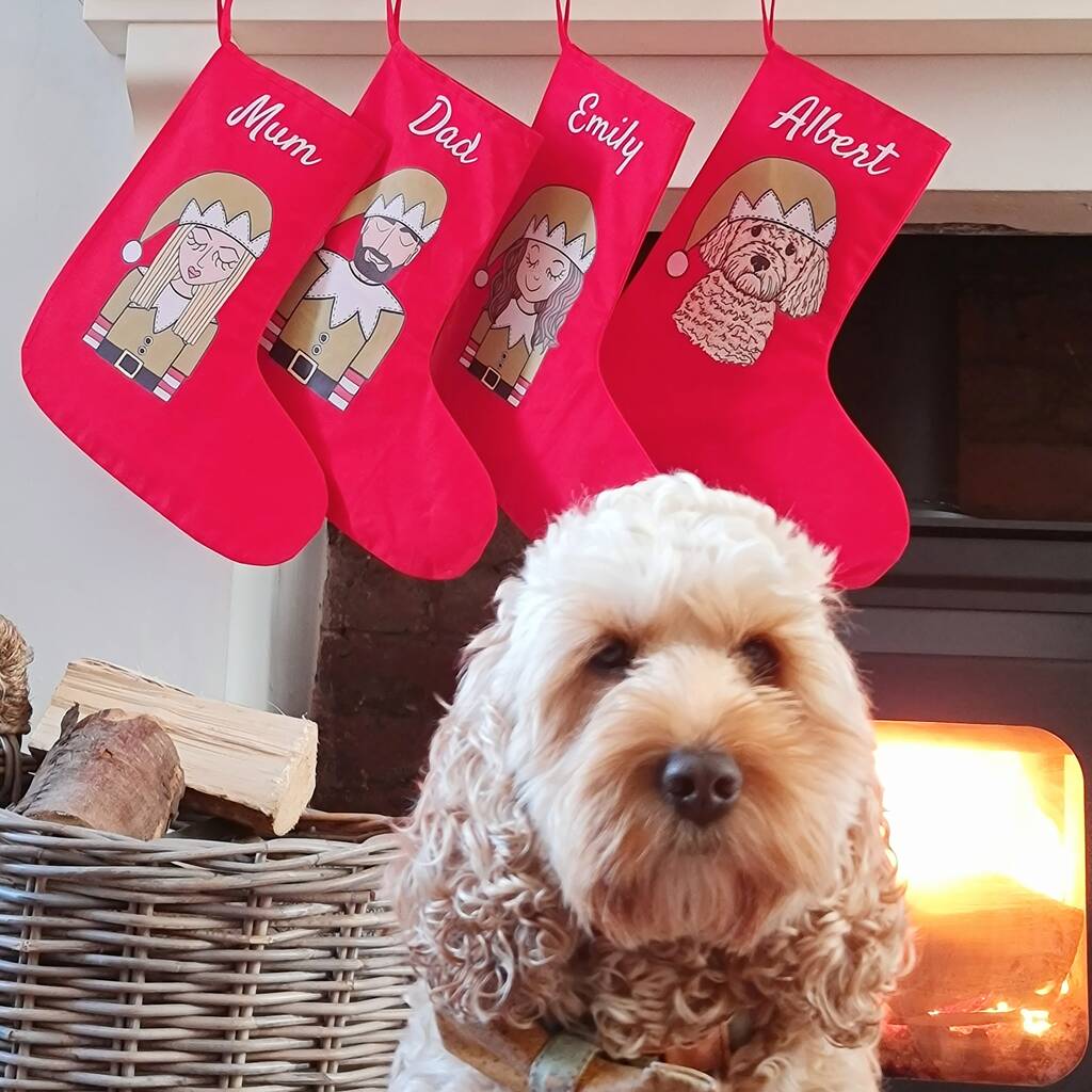 Personalised Pet Christmas Stocking By Syd&Co — free download