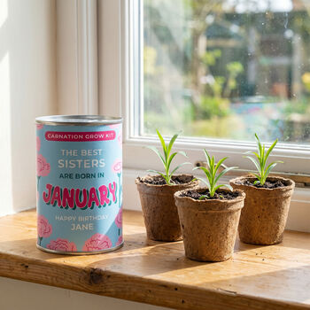 Personalised January Grow Your Own Flower Gift, 3 of 4