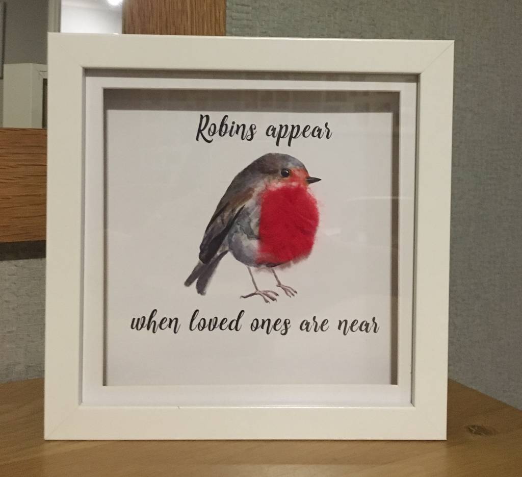 Personalsied Memory Frame 3d Robins Appear By Personalised Penguins