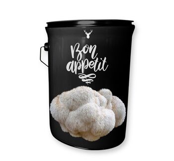 'Bon Appetit' Lion's Mane Mushroom Grow Kit, 4 of 4