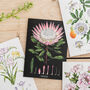 Botanical King Protea Black Card, thumbnail 1 of 2