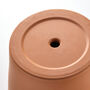 Milestone Birthday Personalised Terracotta Plant Pot, thumbnail 4 of 5