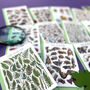 Wildlife Of Britain Greeting Cards Pack Volume Four, thumbnail 6 of 12