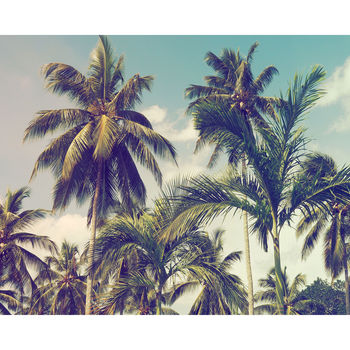 Vintage Style Palm Trees Fine Art Giclee Print, 2 of 3