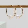 9ct Gold And Freshwater Pearl Sleeper Hoop Earrings, thumbnail 1 of 3