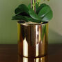 Purple Artificial Orchid Large Gold 52cm Real Touch, thumbnail 2 of 3
