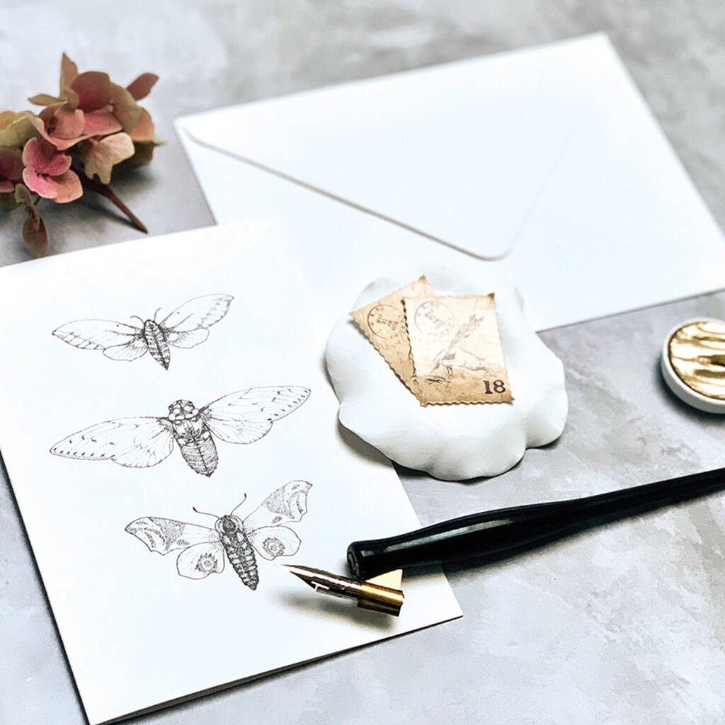 Tissue Wrapped Darwin Stationery Set By Sleepy Bee Studio