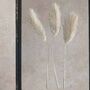 Vintage Pressed Flower Frame: Small Dried Bunny Tails, thumbnail 4 of 7