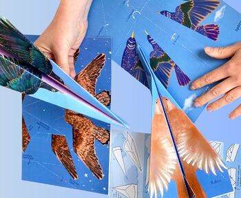 Personalised Paper Birds Kit, 4 of 9