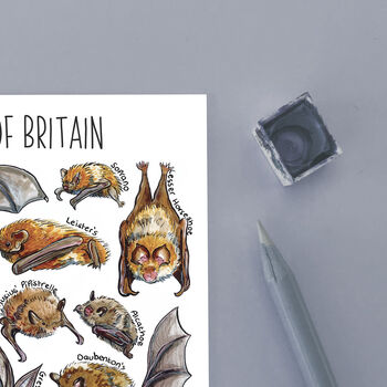 Bats Of Britain Watercolour Postcard, 6 of 8