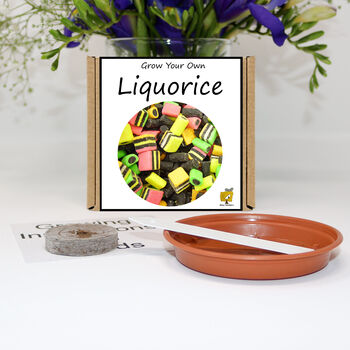 Gardening Gift For Him Her. Grow Your Own Liquorice, 2 of 5